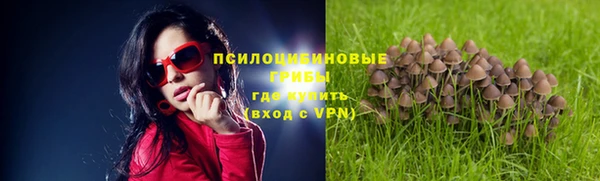скорость Бронницы